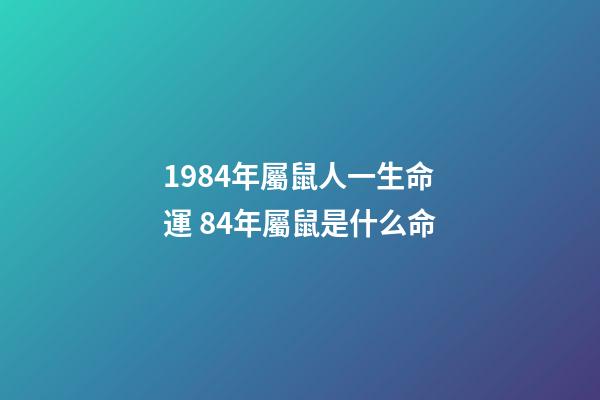 1984年屬鼠人一生命運 84年屬鼠是什么命